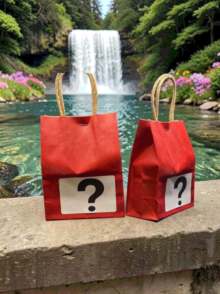 Mystery Bags
