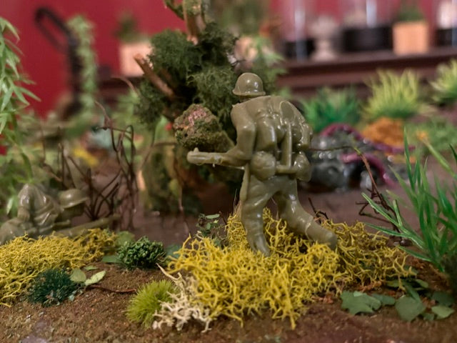 Swamp Wars